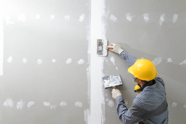 Best Post-Construction Mold Inspection  in Byram, MS