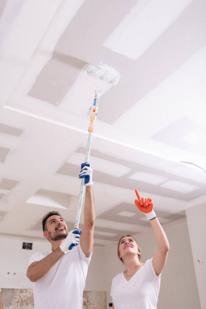 Best Attic Mold Removal  in Byram, MS