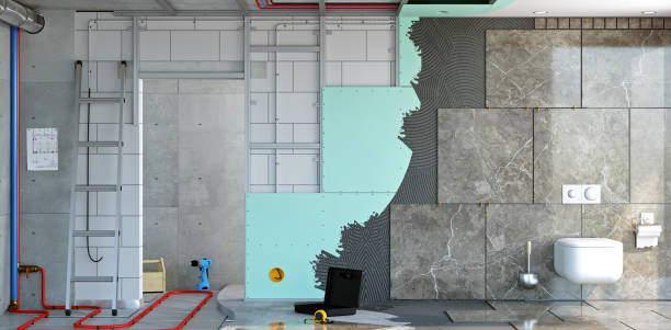 Best Basement Mold Removal  in Byram, MS