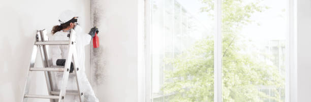 Best Air Quality Testing for Mold Spores  in Byram, MS