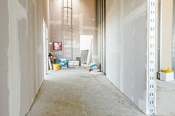  Byram, MS Mold Removal Pros