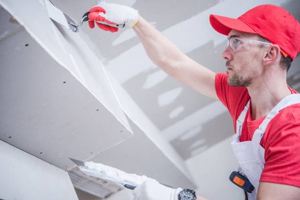 Best Mold Documentation for Insurance Claims  in Byram, MS